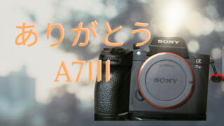 ありがとう　【SONY　A7Ⅲ】 